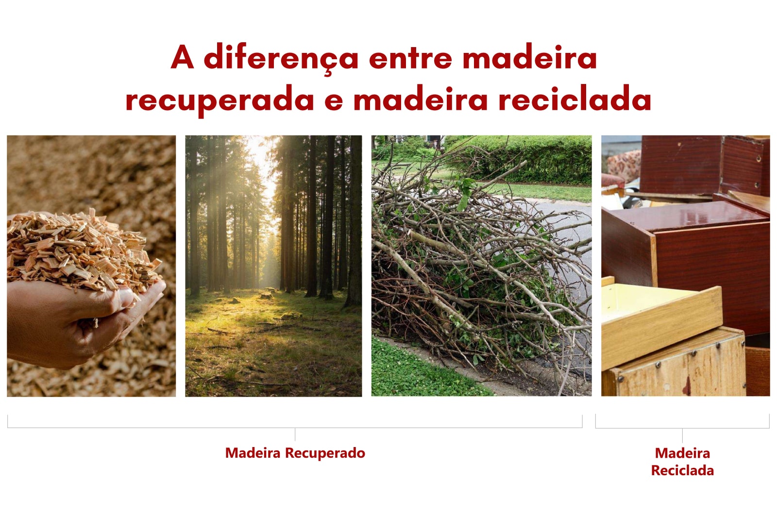 A-diferença-entre-madeira-recuperada-e-madeira-reciclada-min.jpg
