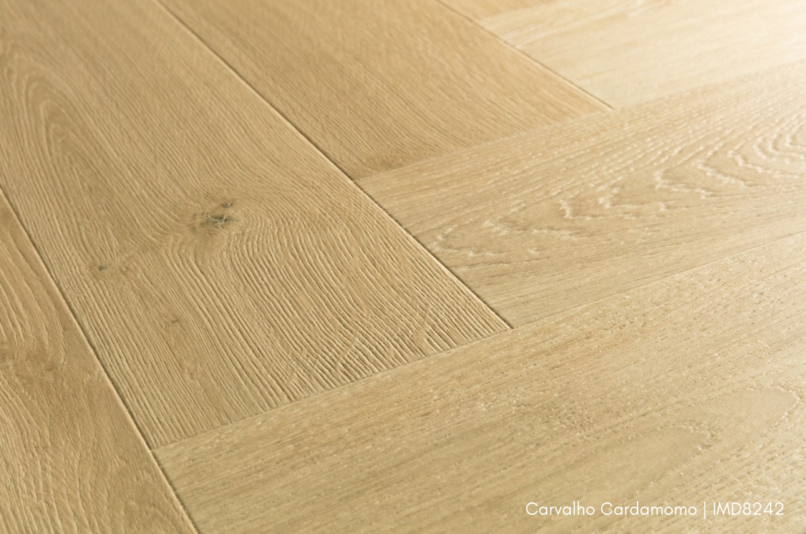Carvalho-Cardamomo-IMD8242.jpg